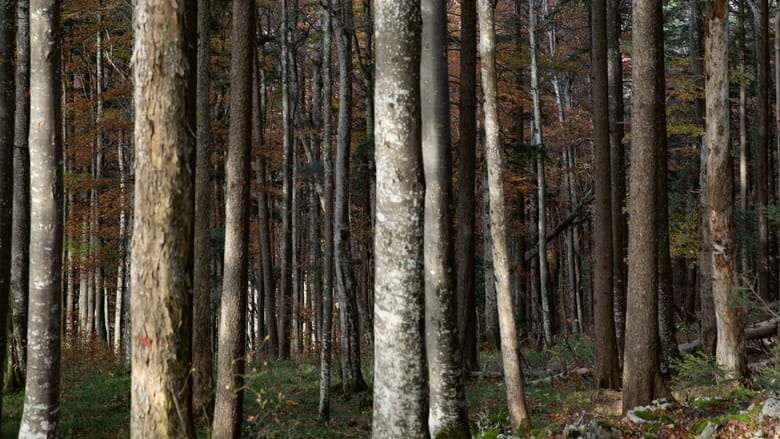 Oris Nature Waldenburg Valley