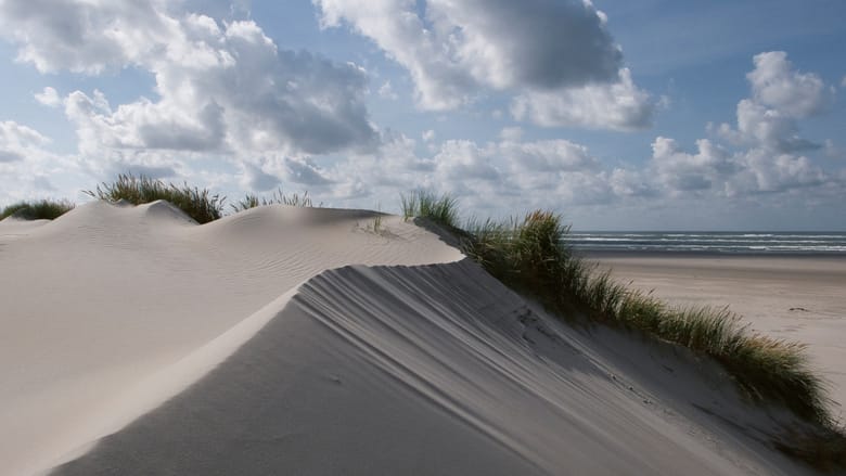 The Wadden Sea